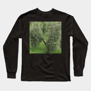 Olive tree Mediterranean Grove Long Sleeve T-Shirt